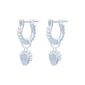 Avery Hoop Sterling Silver Rainbow Moonstone Hoops