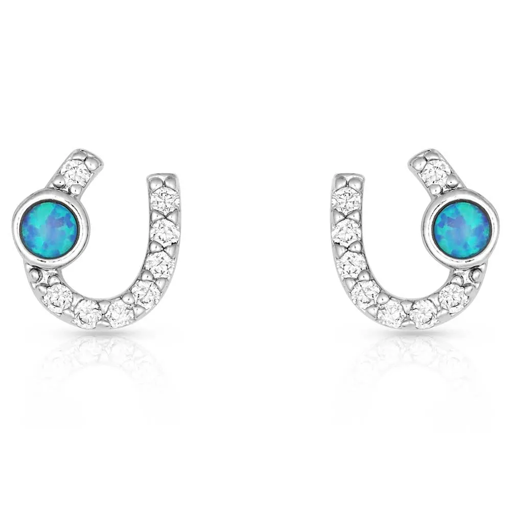 Montana Silversmiths Lightfoot Horseshoe Earrings