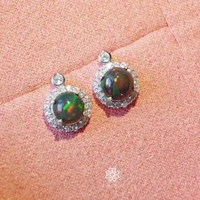 Natural Black Opal Earrings Sterling Silver925.